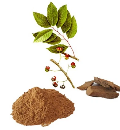 Pygeum Africanum לנבוח לחלץ (Prunus Africana) עבור שפיר Hyperplasia שפיר