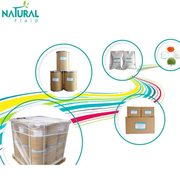 Carnitine Powder Package