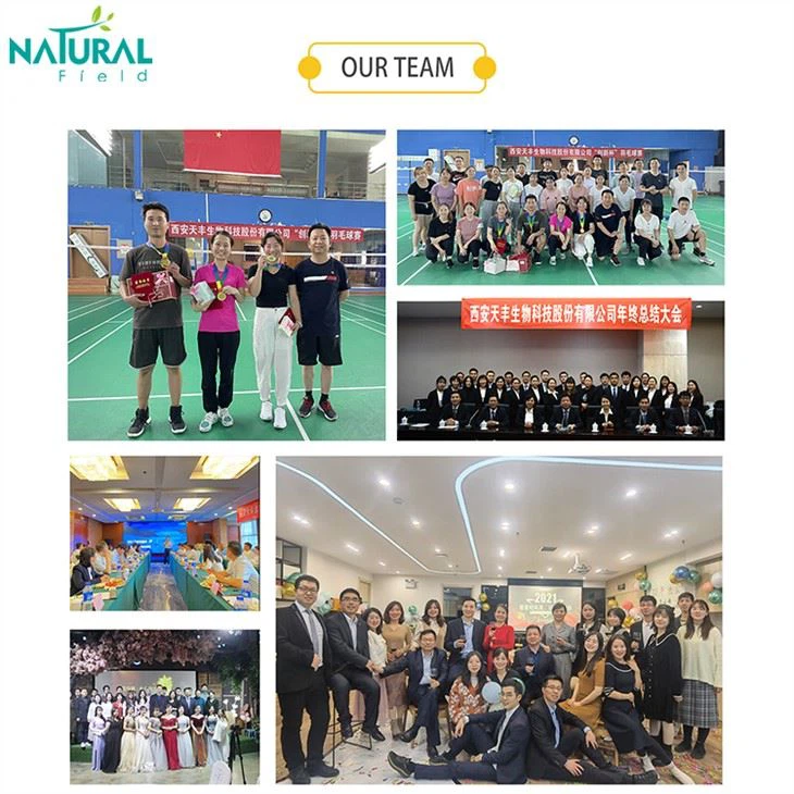 Our Team