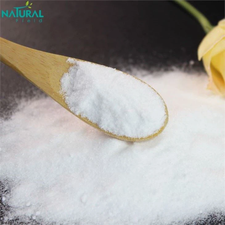 Carnitine Powder